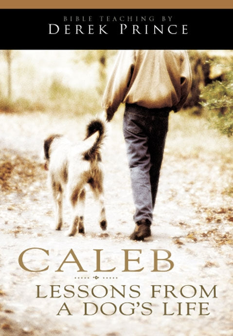 Caleb: Lessons From A Dog's Life
